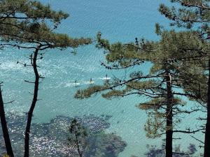 Appartements La Langouste ROUGE : photos des chambres