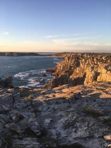 Appartements La Langouste ROUGE : photos des chambres