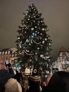 Strasbourg Apartment with parking