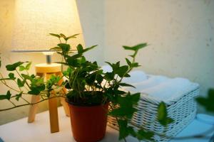 Jeonju Dwaejikkum Hanok