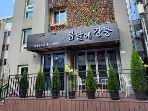 Gangneung Guesthouse Gangneung on a Spring Day