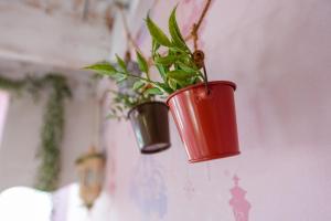 Gwanghwa Concert Pension