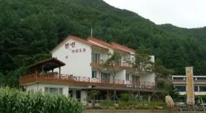 Dreamhill Pension - 忠州市