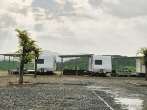 Campground full of stars