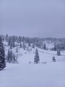 Pensiunea Poarta Lui Ionele