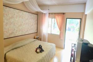 Safari Riviera Resort