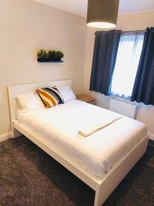 Your Cozy Home Away From Home