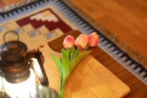 Gapyeong Starry Night Glamping