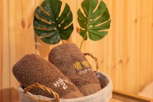 Gapyeong Starry Night Glamping