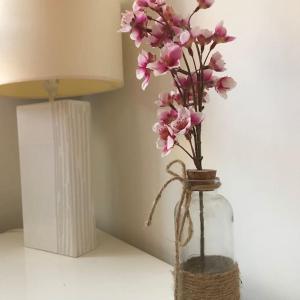 Appartements Appart Terrasse Centre ville Parking facile : photos des chambres