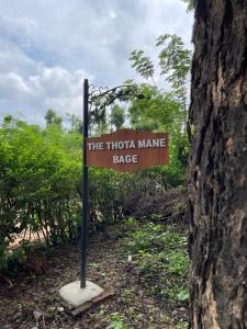 The Thota Mane by evaddo