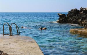 Three-Bedroom Holiday Home In Potomje