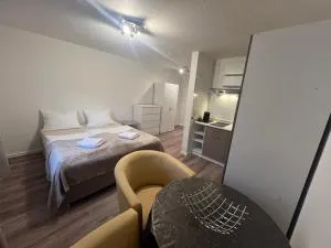 Komfortables Studio mit Küche nahe Freiburg in Breisgau - 登茨林根