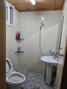 Seonbichon Lake Pension