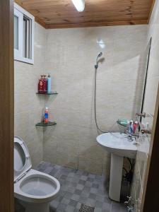 Seonbichon Lake Pension