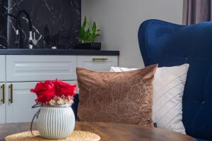 Old street apartment