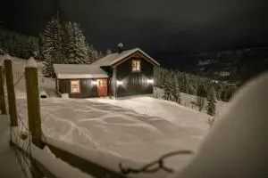 Unikt gårdshus - Gamlestua - Aust-Torpa