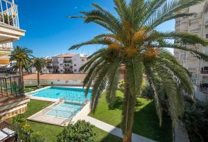 CORONADO 136 MENYBER