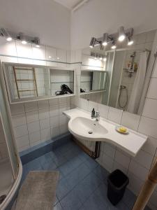 Appartement T4 Lyon 9