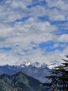 Ishan Log Huts-A boutique home stay