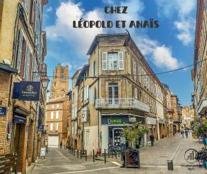 Appartements Chez Leopold et Anais au coeur d Albi : Appartement 1 Chambre - Vue sur Ville