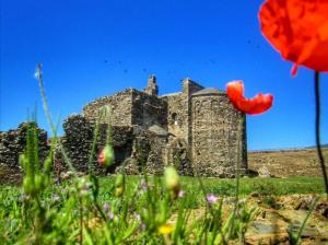 Global Immo 2190 LAS MURALLAS