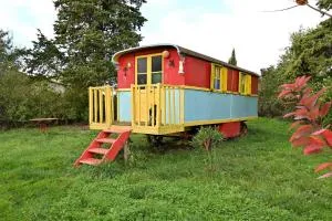 Roulotte Gypsie Violette - Gaudiès