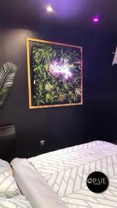 Appartements Opale spa Vice city room : photos des chambres