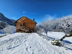 Ferienhaus Maria´s Hoamatl - 施瓦茨