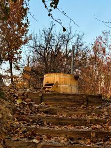 Cabana Poiana Florica