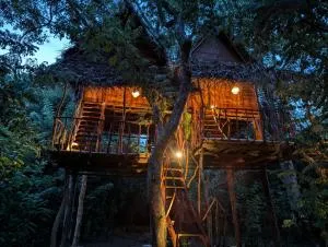 Atha Tree House - Galkadawala