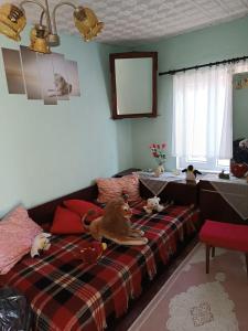 Къща за гости