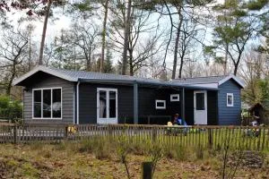 Chalet & Glamping Ons plekje in het bos - Lieren