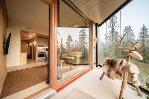 Aurora Chalet B5 Ski-in Ski-out, Mountain View by Aavalevi