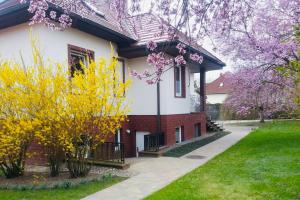 Geräumige Wohnung mit Terrasse in ruhiger Lage