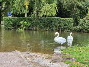 Swan Cottage, 5-Bedroom, Canal View, River, Private gardens, Free Parkings, WiFi, Oxford