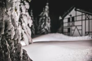 Camere de închiriat Pași Liberi