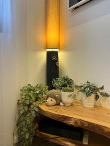 Appartements Felix Le Renfrogne Aubagne-Cassis-Aix en Provence : photos des chambres