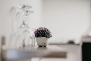 Appartements Loft lumineux ! wifi a 20min de Rennes : photos des chambres