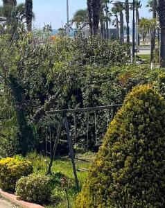 Paradise T2 port et plage à pied avec parking