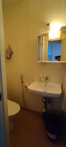 Kokonainen huoneisto olohuone makuualkovi ja keittiö ei suihkuh Iisalmen keskusta