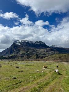 Cabañas Entre Sauces