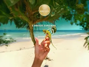 Z-Breeze Zanzibar - Kumba Urembo