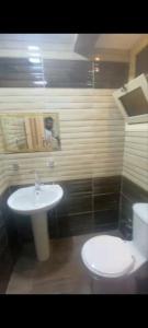 افضل شقه في المهندسين ايجار يومي