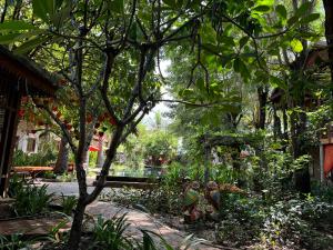 Dontrei Villa Angkor