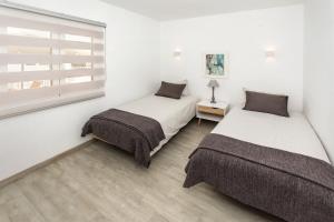 Lanzahost Tabaiba Green