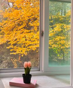 The Seoul city wall house