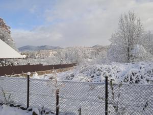 Галерея Карпат