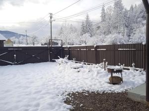 Галерея Карпат