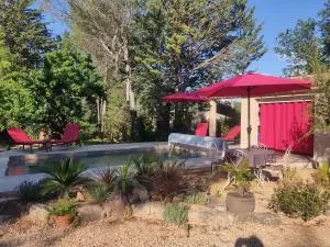 OLIVE & SAFRAN - Pourcieux